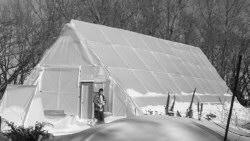 Bob's Big and Little A-Frame Greenhouses