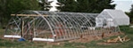 Clair Schwan's Greenhouse #3 Clair Schwan's Greenhouse #3
